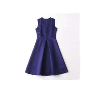 Navy Sleeveless A-Line Dress